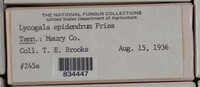 Image Associated With the Occurence